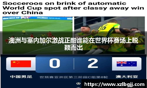 VSport体育