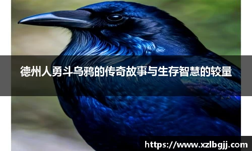 德州人勇斗乌鸦的传奇故事与生存智慧的较量