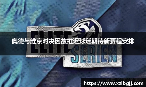 V体育