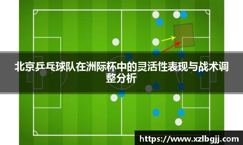 VSport - 胜利因您更精彩